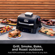 Ninja Woodfire Outdoor Grill