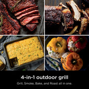Ninja Woodfire Outdoor Grill