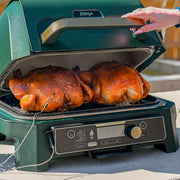 Ninja Woodfire Premium XL BBQ Grill in Green and Gold
