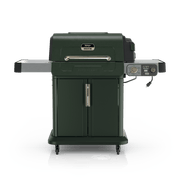 Ninja™ FlexFlame™ Grill and Smoker in Green