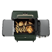 Ninja™ FlexFlame™ Grill and Smoker in Green