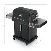 Ninja™ FlexFlame™ Grill and Smoker in Green