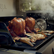Ninja™ FlexFlame™ Grill and Smoker in Green
